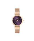 HUGO Ladies Watch with Purple Dial and Rose Gold Strap 1540128