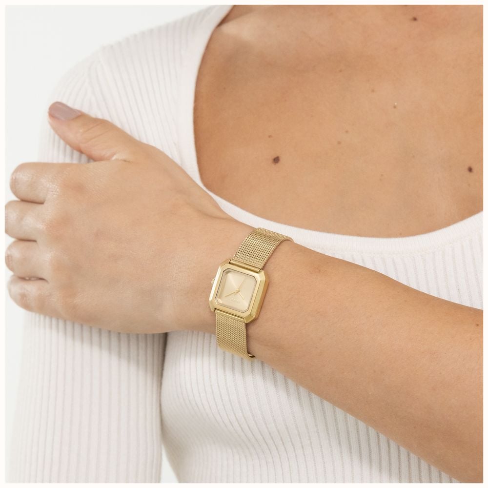 HUGO Hazel Ladies Watch with Gold Dial and Gold Strap 1540184
