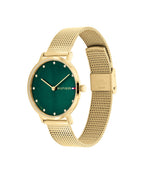 Tommy Hilfiger Pippa Ladies Watch with Green Dial 1782668