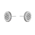 Tommy Hilfiger Crystal Set Ladies Stud Earrings 2780565