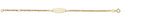 9ct Yellow Gold 6" ID Bracelet