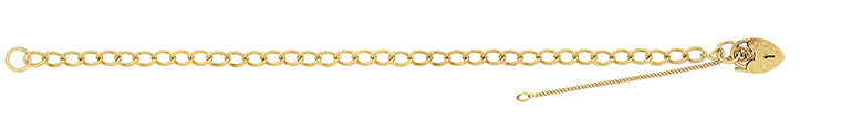 9ct Yellow Gold 7" Charm Bracelet