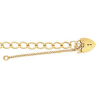 9ct Yellow Gold 7.5" Charm Bracelet