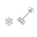 9ct White Gold Diamond Earrings 0.25CT