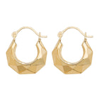 9ct Yellow Gold Earrings
