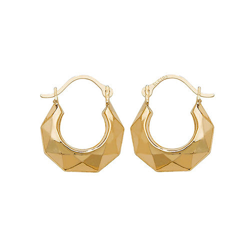 9ct Yellow Gold Earrings