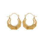 9ct Yellow Gold Earrings