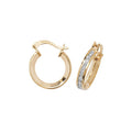 9ct Yellow Gold Earrings