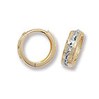 9ct Yellow Gold Earrings