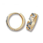 9ct Yellow Gold Earrings
