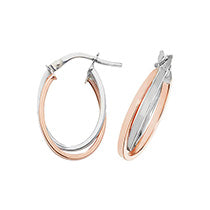 9ct Yellow Gold Earrings