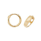 9ct Yellow Gold Earrings
