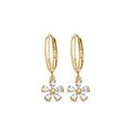 9ct Yellow Gold Earrings