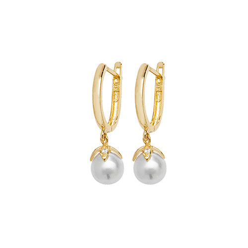 9ct Yellow Gold Earrings
