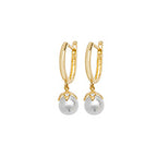 9ct Yellow Gold Earrings