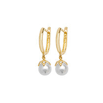 9ct Yellow Gold Earrings