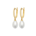 9ct Yellow Gold Earrings