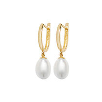9ct Yellow Gold Earrings