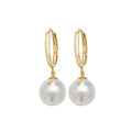 9ct Yellow Gold Earrings