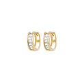 9ct Yellow Gold Earrings