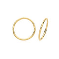 9ct Yellow Gold Earrings