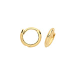 9ct Yellow Gold Earrings
