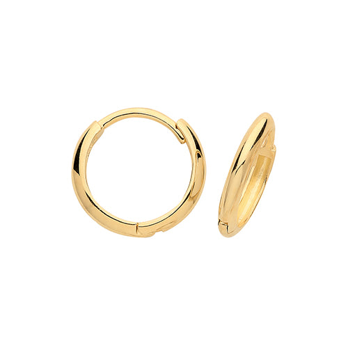 9ct Yellow Gold Earrings