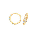 9ct Yellow Gold Earrings