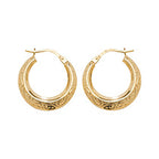 9ct Yellow Gold Earrings