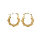 9ct Yellow Gold Earrings
