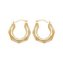 9ct Yellow Gold Earrings