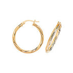 9ct Yellow Gold Earrings