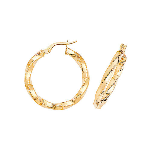 9ct Yellow Gold Earrings