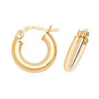 9ct Yellow Gold Earrings