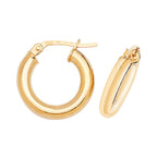 9ct Yellow Gold Earrings