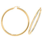 9ct Yellow Gold Earrings