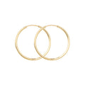 9ct Yellow Gold Earrings