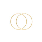 9ct Yellow Gold Earrings