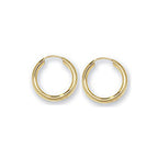 9ct Yellow Gold Earrings