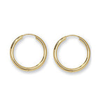 9ct Yellow Gold Earrings