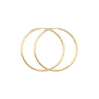 9ct Yellow Gold Earrings