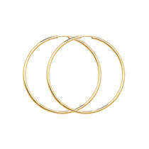 9ct Yellow Gold Earrings