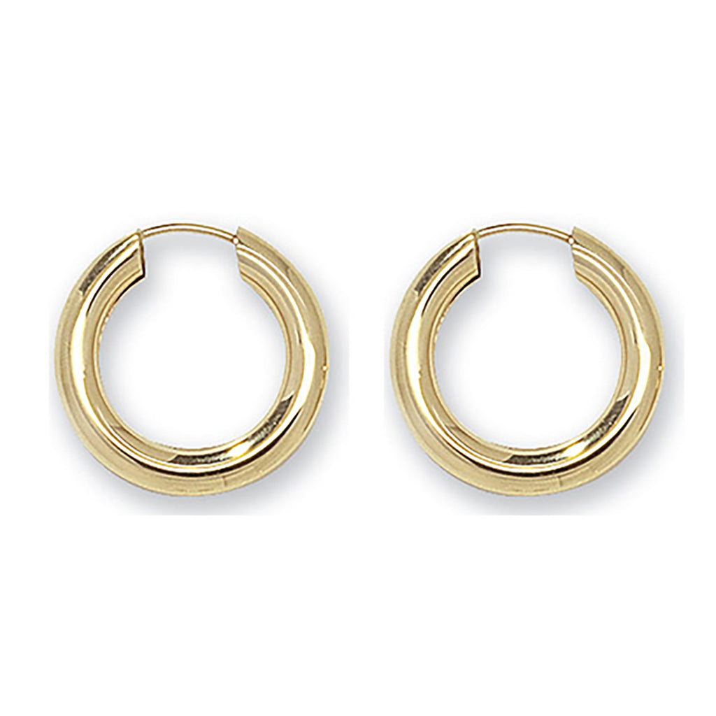9ct Yellow Gold Earrings