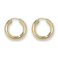 9ct Yellow Gold Earrings