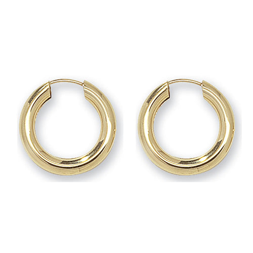 9ct Yellow Gold Earrings