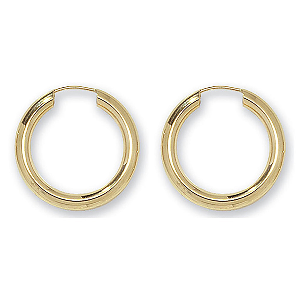 9ct Yellow Gold Earrings