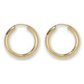 9ct Yellow Gold Earrings