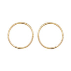 9ct Yellow Gold Earrings