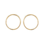 9ct Yellow Gold Earrings