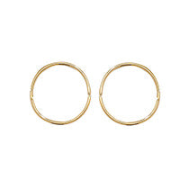 9ct Yellow Gold Earrings
